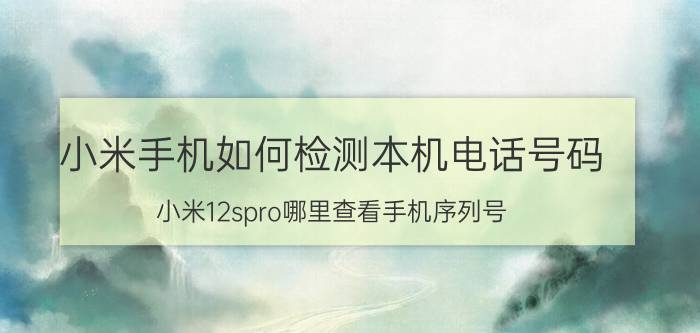 小米手机如何检测本机电话号码 小米12spro哪里查看手机序列号？